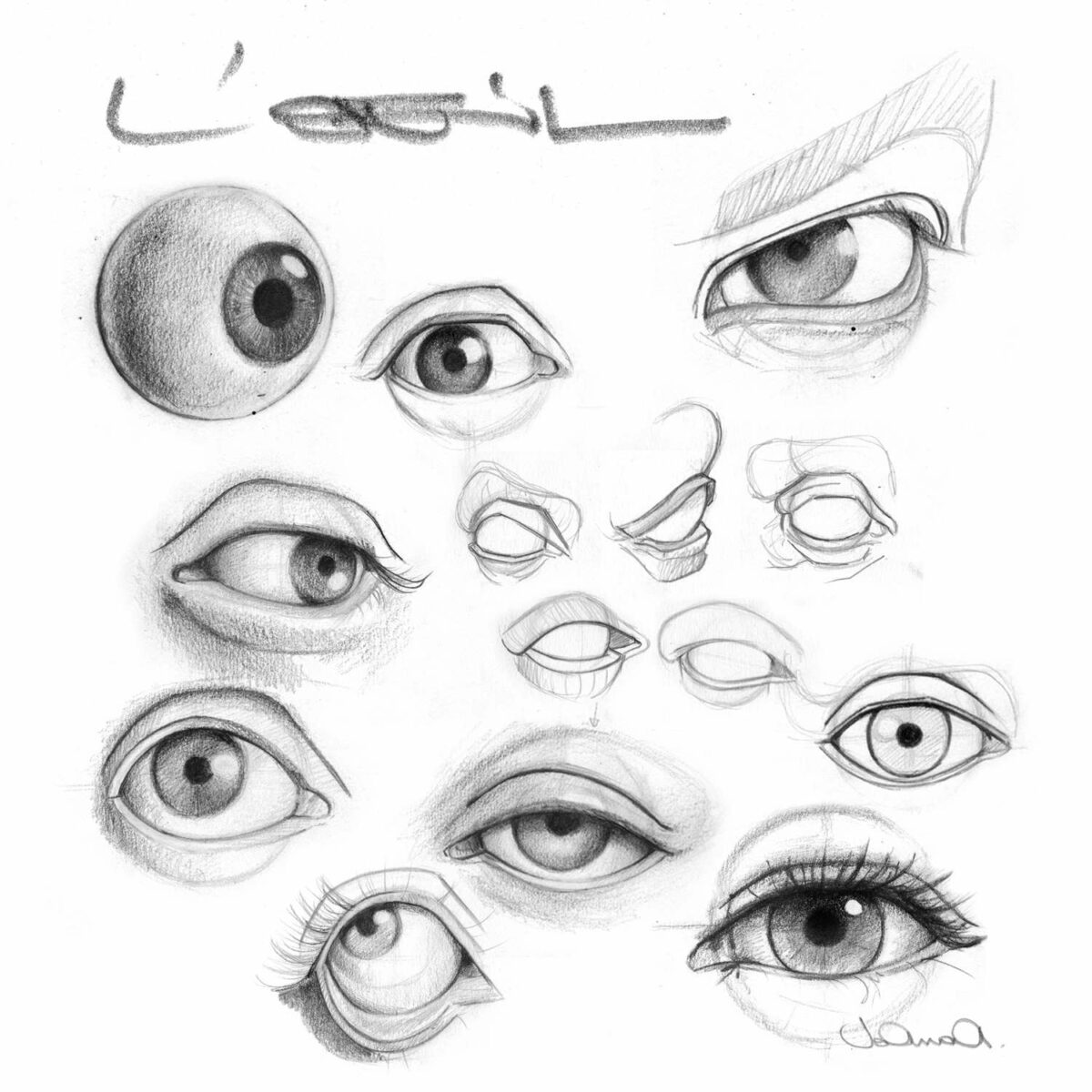 formation et cours en ligne pour apprendre à dessiner des portraits.