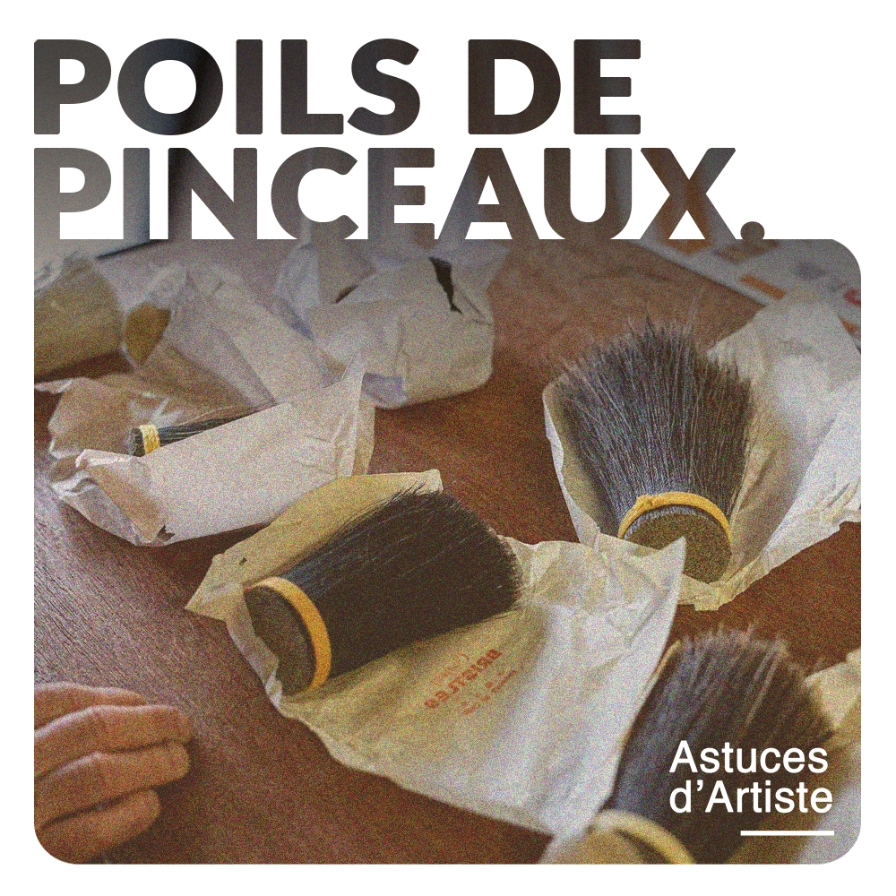Lire la suite à propos de l’article Poils de Pinceaux en peinture : les différences  ?